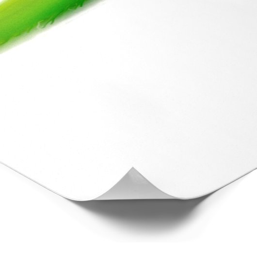 Friendly Quaker Monk Paprot Print Poster (Ecke)