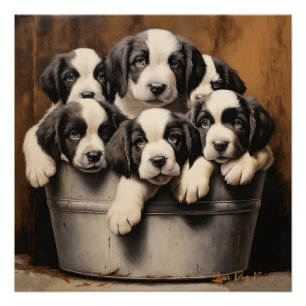 Friendly Saint Bernard Puppy Hunde 001 - Raimon Pa Poster