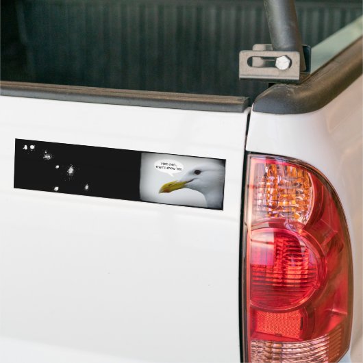 Friendly Seagull? Autoaufkleber (Auf Lkw)