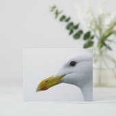 Friendly Seagull? Postkarte (Stehend Vorderseite)