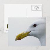 Friendly Seagull? Postkarte (Vorne/Hinten)