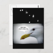 Friendly Seagull? Postkarte (Vorne/Hinten)