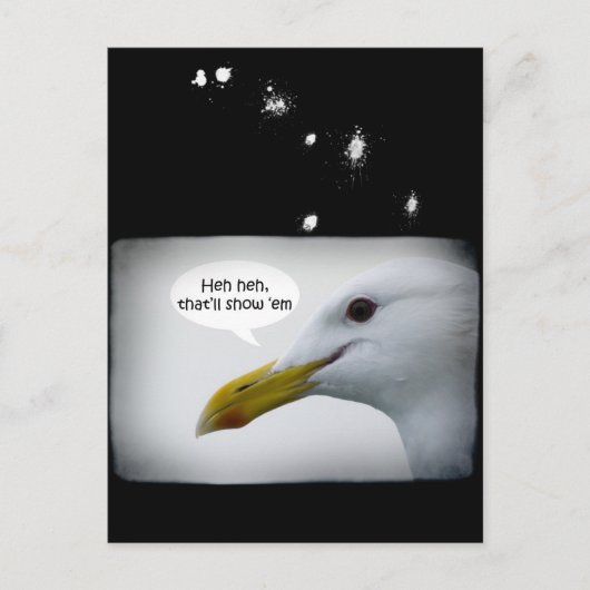 Friendly Seagull? Postkarte (Vorderseite)