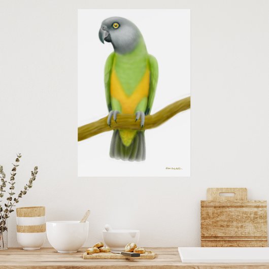 Friendly Senegal Parrot Print Poster (Küche)