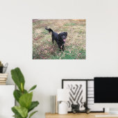 Friendly Smokey Poster (Heimbüro)