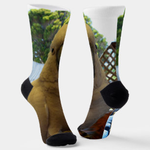Friendly White Aussie Cockatoo, Crew Socks Socken