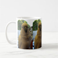 Friendly White Aussie Cockatoo, Kaffee Tasse
