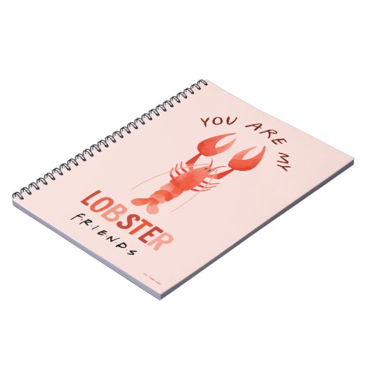 FRIENDS™ | Du bist mein Hummer Aquarell Grafik Notizblock (Linke Seite)