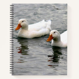 Friends For Life Notizblock