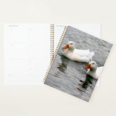 Friends For Life Planer (Anzeige)