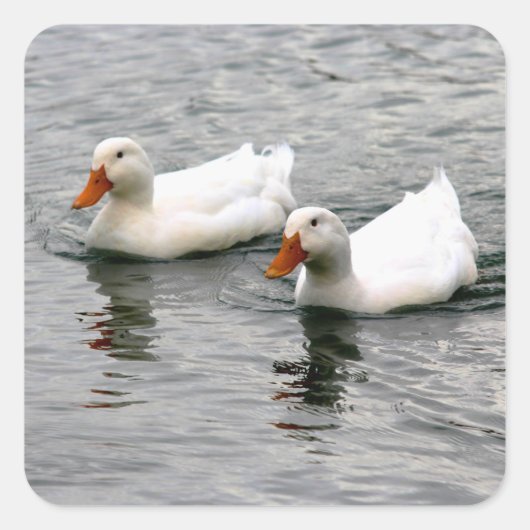 Friends For Life Quadratischer Aufkleber (Vorderseite)