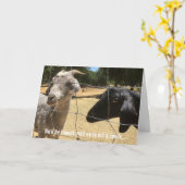 Friends Forever Albern Card Karte (Gelbe Blume)