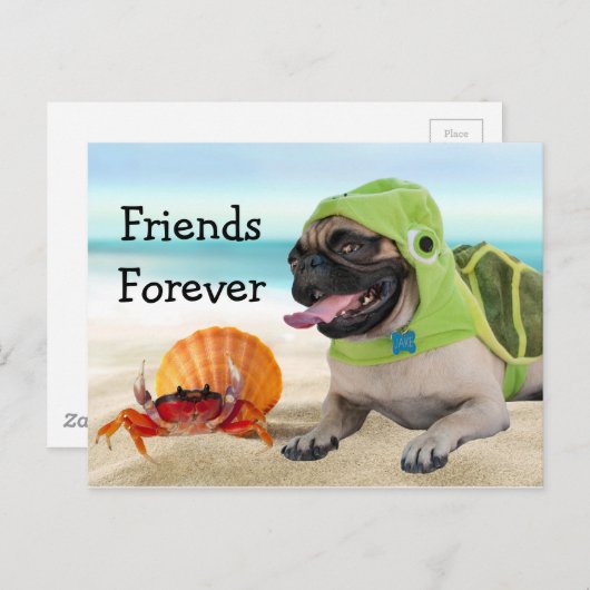 Friends Forever: Crab + Turtle Pug Postkarte (Vorne/Hinten)