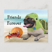 Friends Forever: Crab + Turtle Pug Postkarte (Vorderseite)