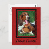 Friends Furever [Forever] Postkarte (Vorne/Hinten)