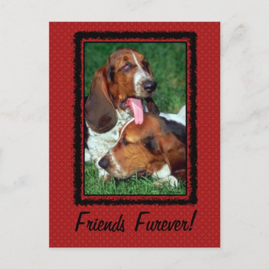Friends Furever [Forever] Postkarte (Vorderseite)