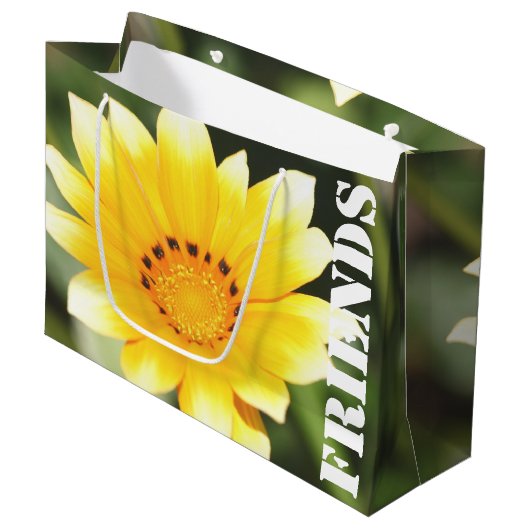 Friends Gift Bag Große Geschenktüte (Vorderseite Schrägansicht)