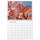 FRIENDS GIFTS Flower Dogwood Tree Kalender (Jan 2026)