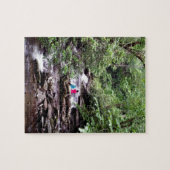 Friends Great Smoky Mountains National Park Puzzle (Horizontal)