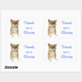 Friends Long Hairs Chihuahua Grußsticker Rechteckiger Aufkleber (Blatt)