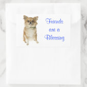 Friends Long Hairs Chihuahua Grußsticker Rechteckiger Aufkleber (Tasche)
