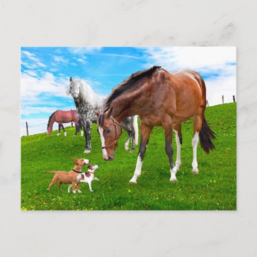 "Friends machen" Postkarte (Vorderseite)