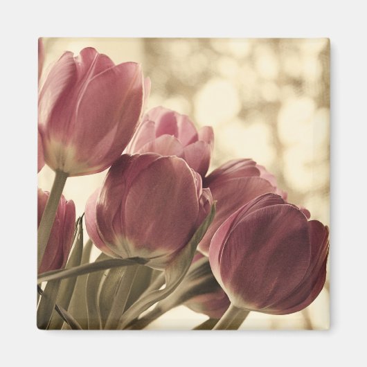 Friends Magnet (Vorne)