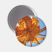 Friends Magnet Freundschaft Orange Tiger Lily Blum (Vorderseite/Rückseite)