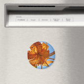 Friends Magnet Freundschaft Orange Tiger Lily Blum (In Situ (Geschirrspüler))