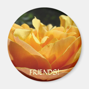 FRIENDS Magnete Orange Rose Text anpassen Magnet