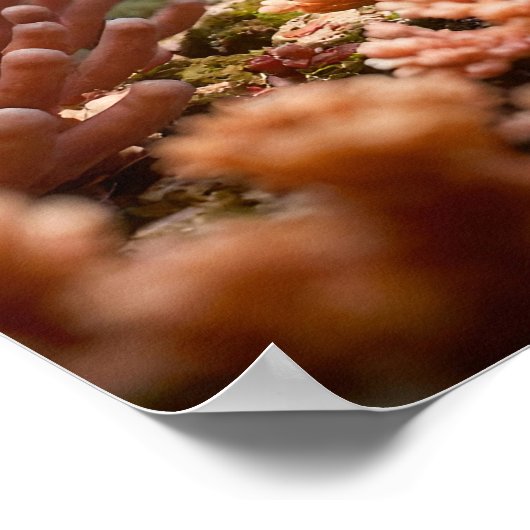 Friends Poster (Ecke)