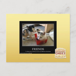 Friends Postkarte