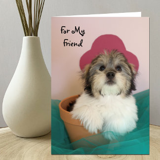 Friends Puppy Birthday Card Karte
