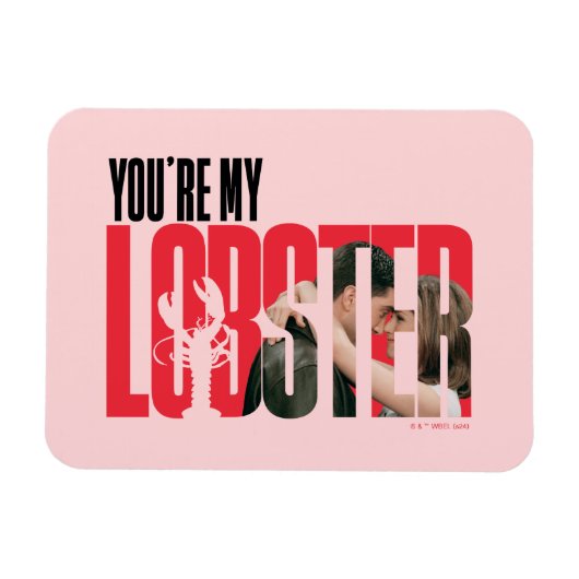 FRIENDS™ | Rachel & Ross - Du bist mein Hummer Magnet (Horizontal)