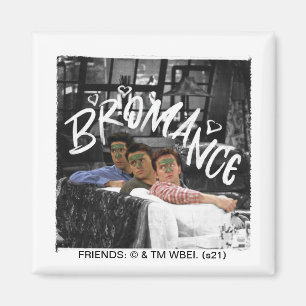 FRIENDS™   Ross, Joey und Chandler Bromance Magnet