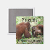 Friends Square Magnet (Vorderseite/Rückseite)