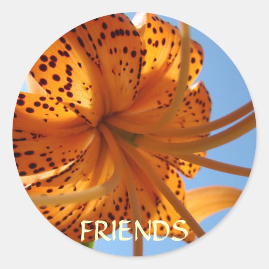 FRIENDS STICKERS Orange Lily Blume Stickers (Vorderseite)