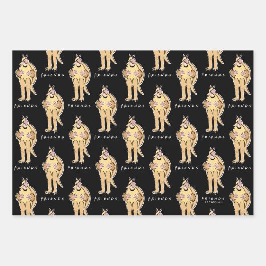 FRIENDS™ | Urlaub Armadillo Geschenkpapier Set (Vorderseite 2)