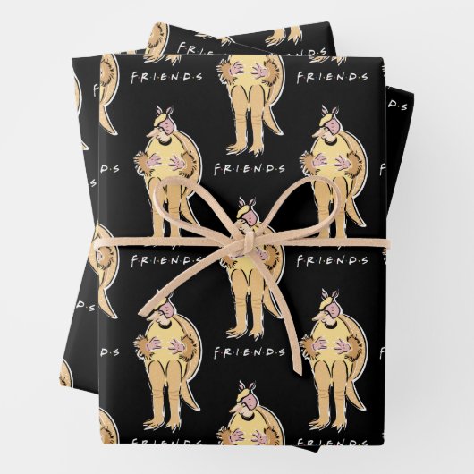 FRIENDS™ | Urlaub Armadillo Geschenkpapier Set (Beispiel)