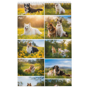 "Friendship Magic: Foto Calendar" Kalender