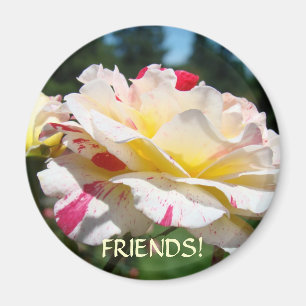 FRIENDSHIP ROSE MAGNET Rose Freunde!