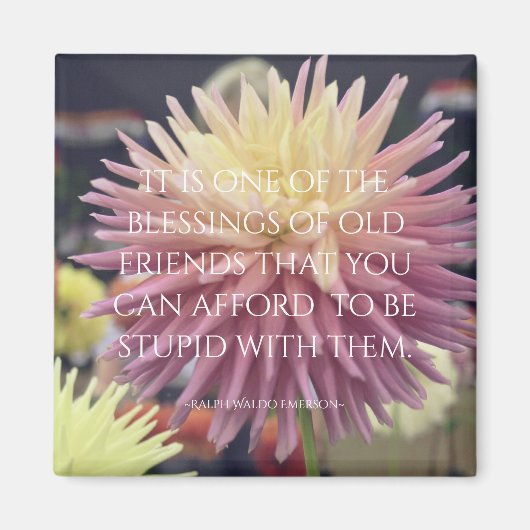 Friendship Zitat Pink Dahlia Magnet (Vorne)