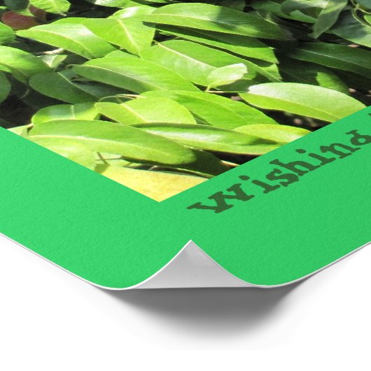 Friendship Zitat von Aristoteles Poster (Ecke)