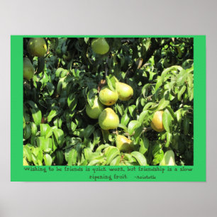 Friendship Zitat von Aristoteles Poster