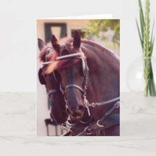 Friesian Carriage Horses Card Karte