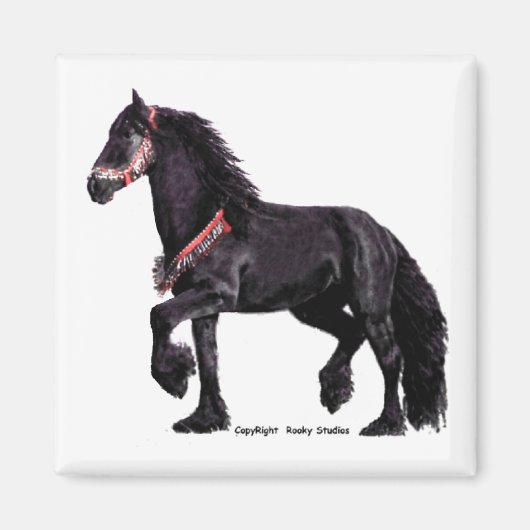 Friesian Dance Magnet 1 (Vorne)
