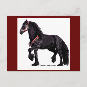 Friesian Dance Postcards Postkarte