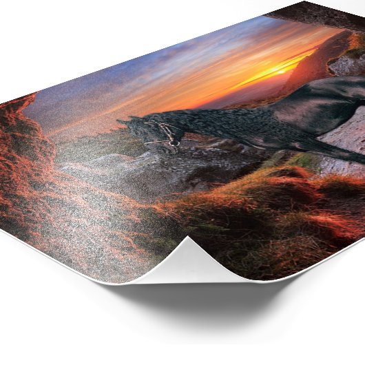 Friesian DIAMOND - Foto Print (Ecke)