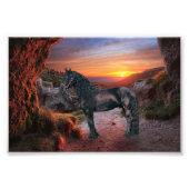 Friesian DIAMOND - Foto Print (Vorne)
