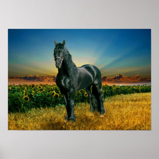 Friesian DIAMOND II - Poster (Vorne)